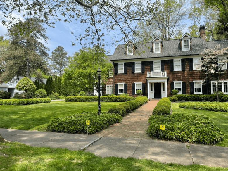 boxwoods in yard